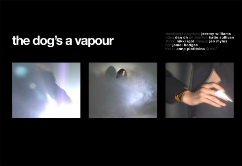 The Dog's A Vapour