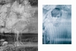 Laurence Ellis